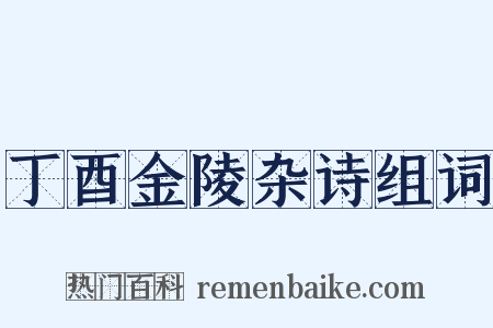丁酉金陵杂诗组词是什么意思的图片
